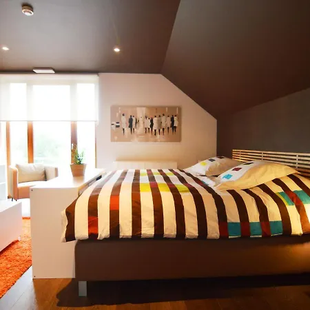Luxurious Holiday In With Sauna Vielsalm